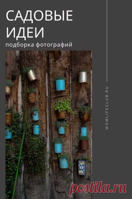 Интересные идеи для сада и загородного дома. Садовые идеи своими руками #садовыйдекор #садовыеукрашения #сад #декор #садовыеидеифото #фото #своимируками #идеидлясада #дом #дизайн #вомлайф #вомлайфклаб…