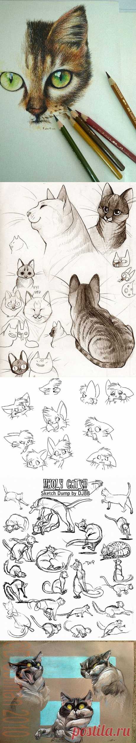 Кошки - очарование моё... Часть - 2. Рисование..