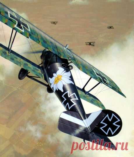 pinturas-gran-guerra-aire:
“ 1917 Pfalz D.IIIa Jasta 23b Otto Kissenberth - Roberto Zanella - Windsock
”