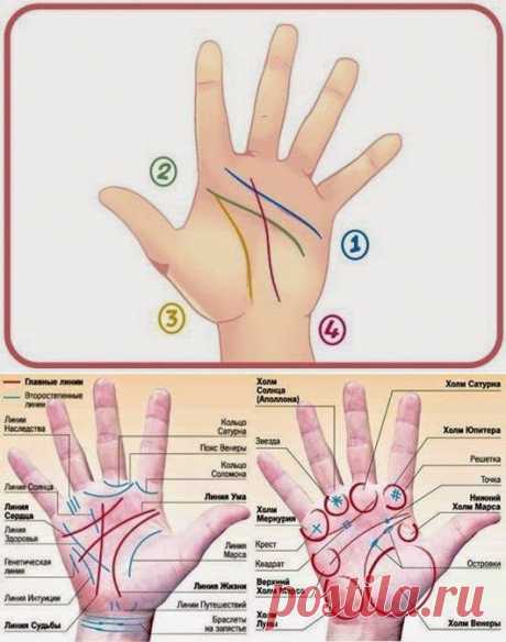 Толкование линий на ладони