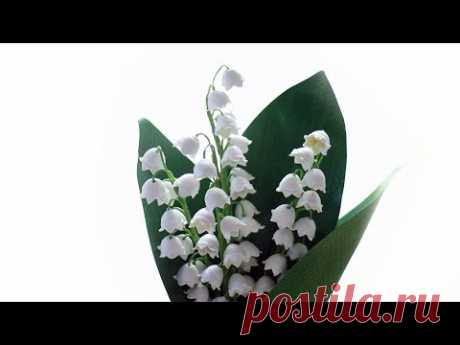 Paper Lily of the valley - Muguet en papier - Papel de lirio de los valles