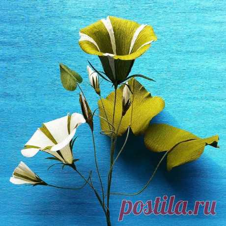 #Handmade #paper #flowers #crepepaperflowers #decoration