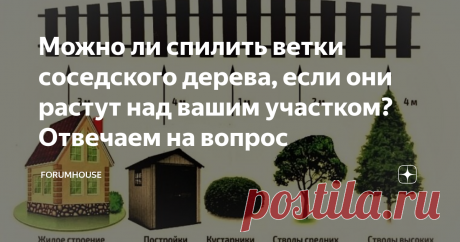 Можно ли спилить ветки соседского дерева, если они растут над вашим участком? Отвечаем на вопрос Соседские войны возникают по множеству причин и одна из них — это деревья, которые так и норовят раскинуть свои ветви на чужой участок. Они могут затенять территорию, а также «мусорить» плодами и листьями. Что делать в этом случае? Можно ли их спилить без спроса или нужно обращаться в суд? Об этом читайте далее. Не забудьте поставить лайк и подписаться на канал — у нас полезный контент!
Что