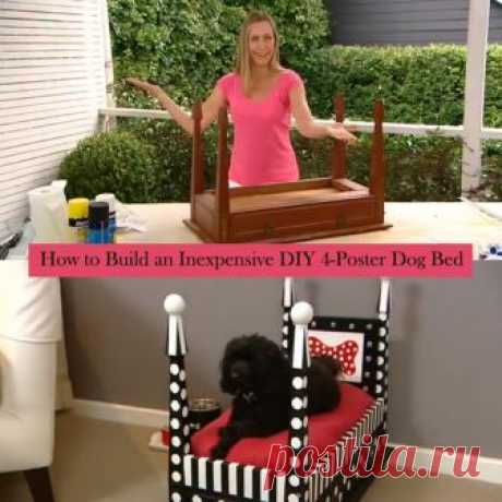 How to Make a DIY Dog Bed From an Old Side Table