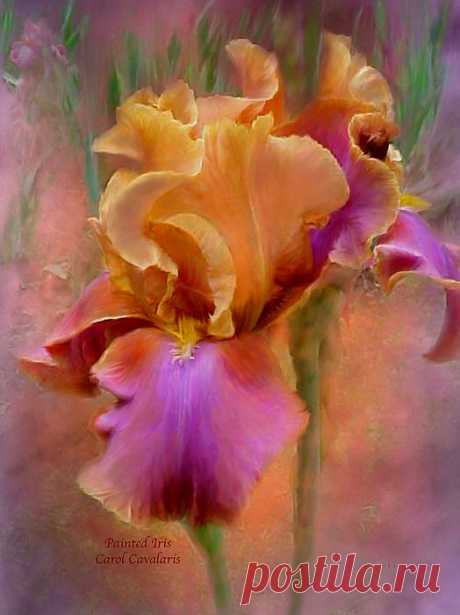 Painted Goddess - Iris Mixed Media by Carol Cavalaris - Painted Goddess - Iris Fine Art Prints and Posters for Sale