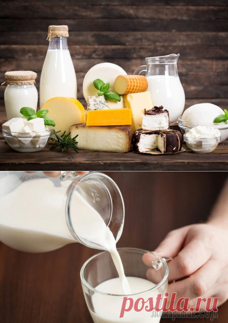 Почему хочется молока: причины, влияние молока на организм