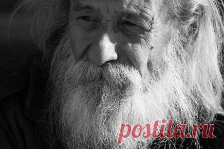 Заповеди 104-летнего мудреца Андрея Ворона: как жить в здравии и радости | Вязальный роман | Яндекс Дзен