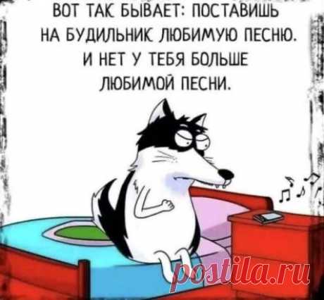 Одноклассники