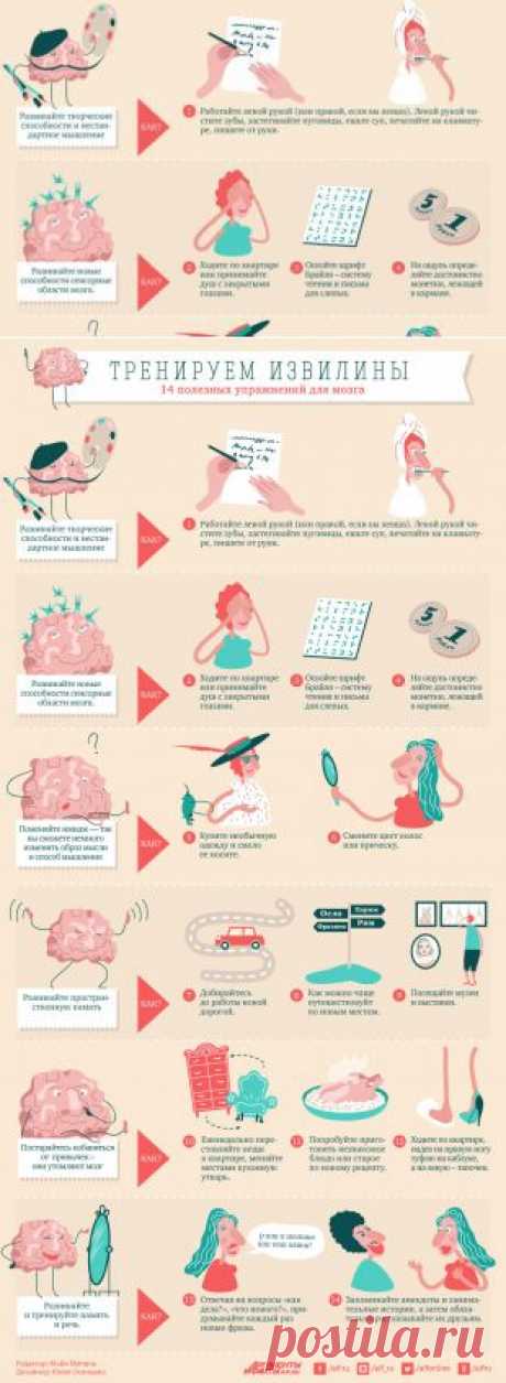 Тренируем извилины. 14 полезных упражнений для мозга | Инфографика | Аргументы и Факты
