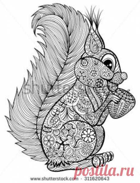 https://thumb101.shutterstock.com/display_pic_with_logo/2634025/311620643/stock-vector-hand-drawn-funny-squirrel-with-nut-for-adult-anti-stress-coloring-page-with-high-details-isolated-311620643.jpg