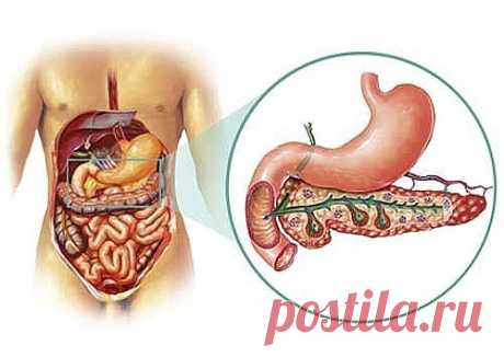 Если беспокоит поджелудочная железа.