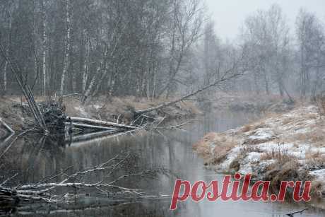 35PHOTO - Валерий Пешков - Зима наступает!