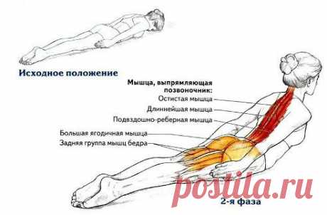 Упражнение для спины!
3 по 15 - 3 раза в неделю и ваша осанка будет красивая! И попа кстати тоже)