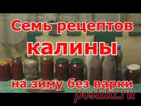 Семь рецептов калины на зиму без варки