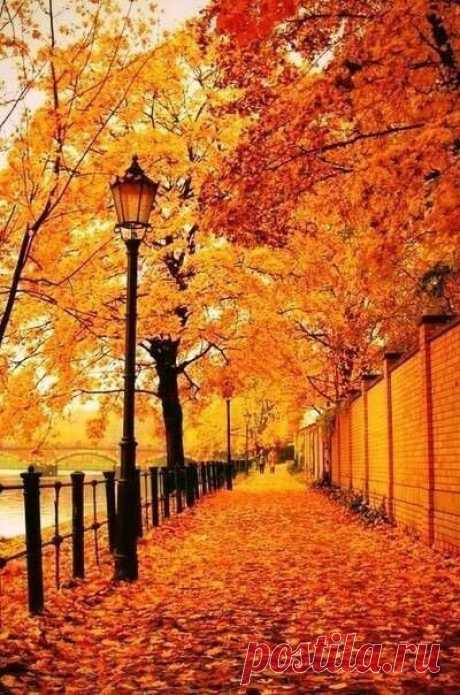 Autumn Tumblr Picks - Bright Bold and Beautiful Blog.