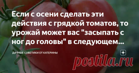 Если с осени сделать эти действия с грядкой томатов, то урожай может вас "засыпать с ног до головы" в следующем году Доброго времени суток, мои любимые!
Уже осень, а это значит, есть еще чем заняться на наших участках.
Большинство огородников думает, что вносить осенью в почву удобрения нецелесообразно, они считают, можно сделать это, когда томаты уже будут на грядке. Если бы так…
Возможно, вы просто не знали, но теперь будете в курсе того, что помидоры нуждаются не только...