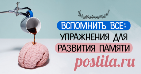 Вспомнить все: упражнения для развития памяти Как тренировать свой мозг и улучшать память!!!