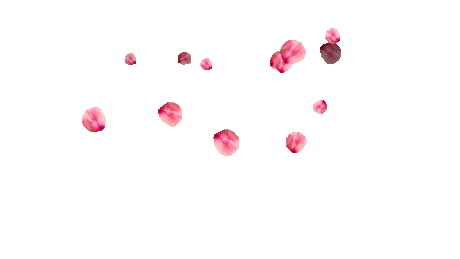Футажи (гиф анимация) - летящие цветы на прозрачном фоне.