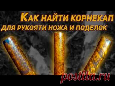 КАК НАЙТИ БЕРЕЗОВЫЙ КОРНЕКАП ДЛЯ РУКОЯТИ НОЖА И КРАСИВЫХ ПОДЕЛОК.