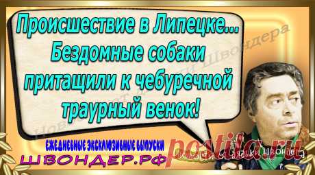 Новости от дядьки Швондера, классный анекдот, смешная фраза, веселая фенечка, каламбур, афоризмы, смех, забавные картинки, сложный юмор, непонятные анекдоты, цитаты из интернета, мэмчик, развлечение, Швондер говорит, Шариков, Собачье сердце, улыбка до ушей, веселый сайт, забава, смешарик, мем, потеха, картинка со смыслом, фарс, наколка, мемасик, шутка, юмор, анекдоты в картинках, юмор в картинках, свежие приколы, Швондер, смешная фишка, улыбка, интересное в сети, смех, швондер.рф, #швондер.рф