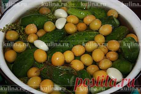 Огурцы малосольные с алычой – рецепт приготовления с фото от Kulina.Ru