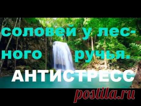 ОТДАЙТЕ СВОИ БОЛЕЗНИ И ПЛОХИЕ МЫСЛИ ВОДЕ.---ОНА УНЕСЁТ ИХ И ВЫ СТАНЕТЕ ОБНОВЛЁННЫМИ И ЗДОРОВЫМИ!