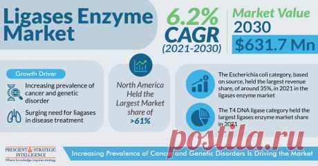 The total size of the ligases enzyme market was about USD 367.4 million in the recent past, and it will power at a rate of 6.2% for reaching USD 631.7 million by 2030, as stated by P&amp;S Intelligence.