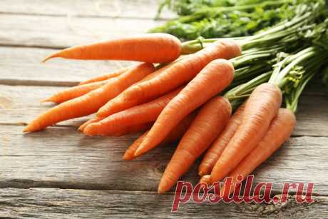 15 классных блюд, которые вы сможете приготовить из обычной моркови | Четыре вкуса
