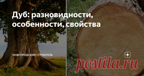 Дуб: разновидности, особенности, свойства "У Лукоморья дуб зеленый..." Не зря знаменитая поэма начинается упоминанием именно дуба. Это дерево издавна считается одним из самых популярных и востребованных как материал для строительства и изделий разного рода, а еще - символом мужества, стабильности и много чего еще. Однако канал наш посвящен все-таки строительству и ремонту, поэтому рассматривать дуб именно как символ мы не будем, поговорим о разных разновидностях этой пород...