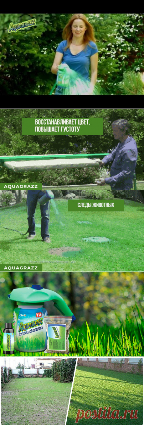 Aquagrazz - жидкий газон