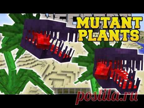 Minecraft: MUTANT PLANTS MOD (EVIL PLANTS THAT EAT EVERYTHING!) Mod Showcase - YouTube