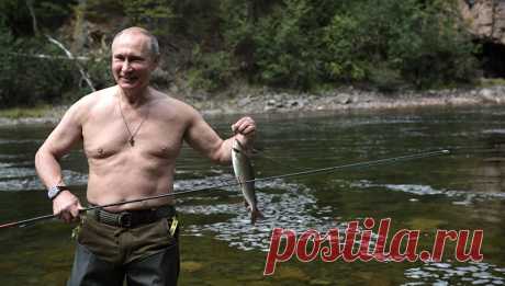 На сайте Кремля опубликовали полную версию видео отдыха Путина в Сибири - Новости Общества - Новости Mail.Ru