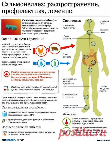 Сальмонеллез: распространение, профилактика, лечение