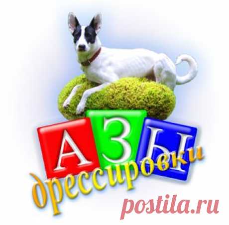 CleverDog — воспитание и уход за собаками.