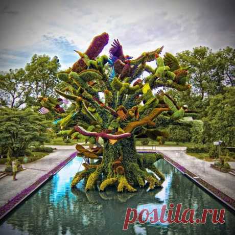 Шедевры  и фантазия цветоводства, скульптуры цветочной мозаики на выставке в Монреале,в ботаническом саду. Канада﻿