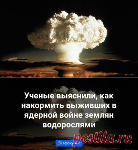 27-1-24--Ученые выяснили, как накормить выживших в ядерной войне землян водорослями - ВФокусе Mail.ru