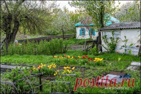 Хутор в донской глубинке | Донские Зори | Дзен