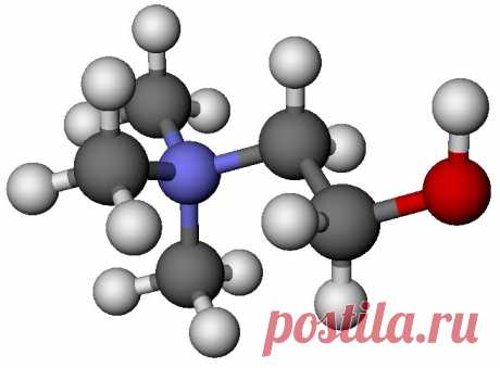 Холин - это что такое? Для чего применяются препараты, содержащие холин?