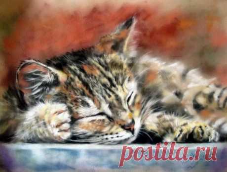 Очаровательные коты английского художника Пола Найта