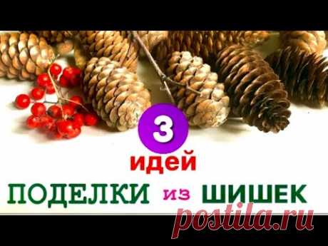 3 идеи | Поделки из природных материалов Осенние поделки своими руками Зимние Поделки на тему Осень