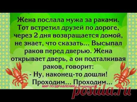 Жена послала мужа за раками....СМЕХ ЮМОР ПОЗИТИВ АНЕКДОТЫ с  Екатериной Мироневич Выпуск 3