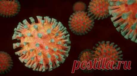 Как выглядит Омикрон: ученые показали изображение нового штамма коронавируса