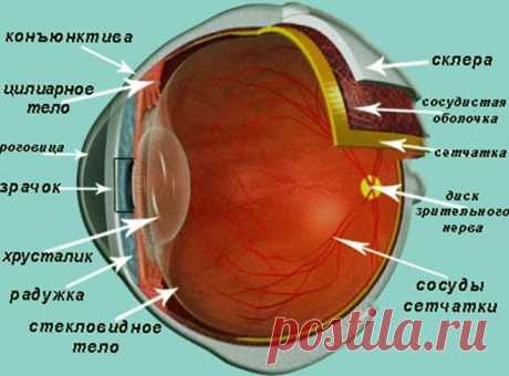 Катаракта, причины и симптомы, лечение, операция и профилактика - Популярная Медицина