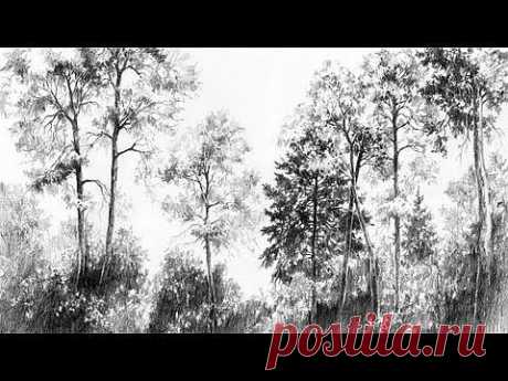 How to draw trees [PL/ENG sub] - Speed Drawing 3 &quot;Pine trees&quot; - Michał Orłowski - YouTube