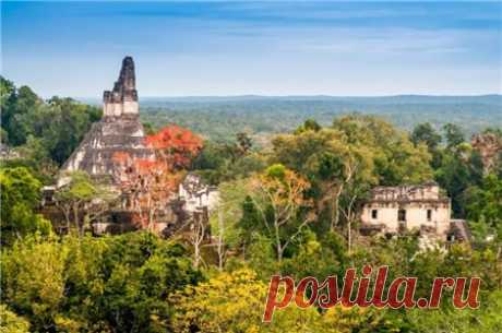 В джунглях Гватемалы обнаружен неизвестный город майя - Новости - ГОРНИЦА - дайджест новостей, авторские блоги