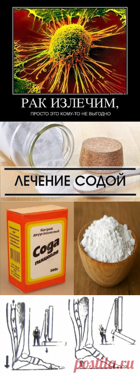 (86) Одноклассники