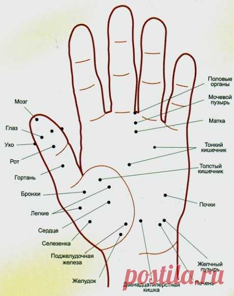 Запись на стене &#128165; Волшебные точки на теле человека. Будьте всегда в форме~ Точка активации силы. Если собрать вместе кончики всех пальцев, она будет находиться в ямке в центре ладони. Если вы чувствуете вялость, упадок сил, апатию, сонливость, массируйте эту точку.~ Точка тепла. Находится на подушечке верхней фаланги среднего пальца. Воздействие на точку помогает согреться, стимулирует обмен веществ, снимает состояние тревоги. Ее можно массировать в...