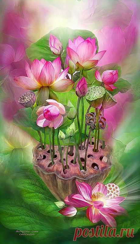 Healing Lotus - Crown Mixed Media by Carol Cavalaris - Healing Lotus - Crown Fine Art Prints and Posters for Sale