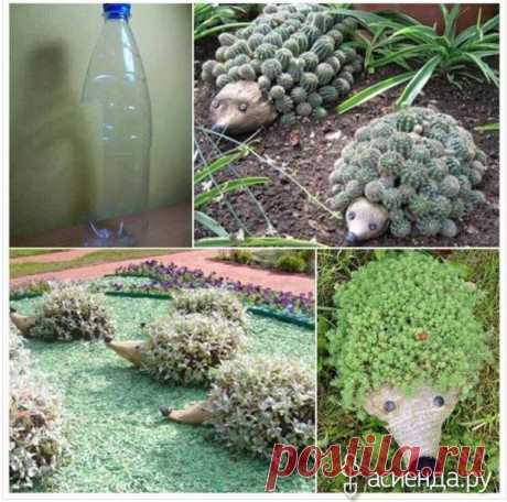 Сделайте ежа для своего сада используя пластмассовые бутылки: Группа Обустройство и украшение дачного участка