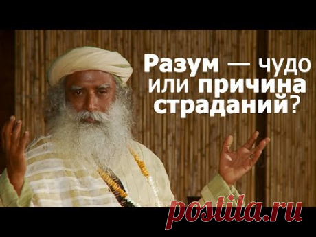 Разум — чудо или причина страданий? Садхгуру